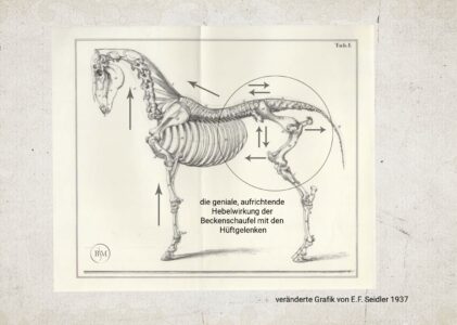 Der Kreislauf der Prozesse