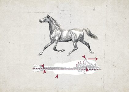 Gleichseitigkeit statt Schiefe