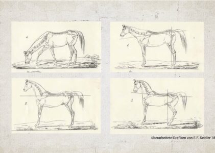 Wege aus der Erschöpfung