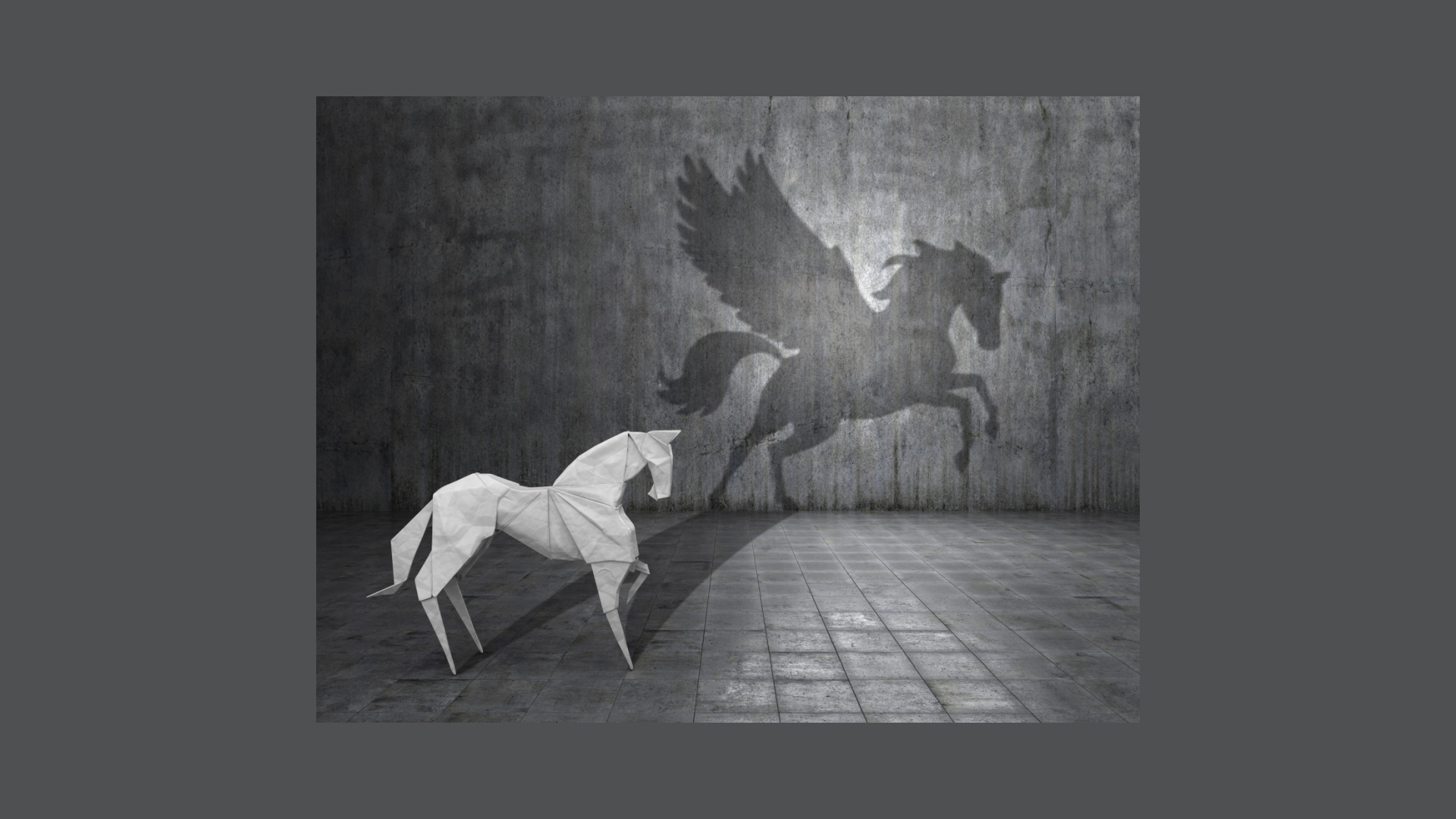 Pferdekörperausbildung