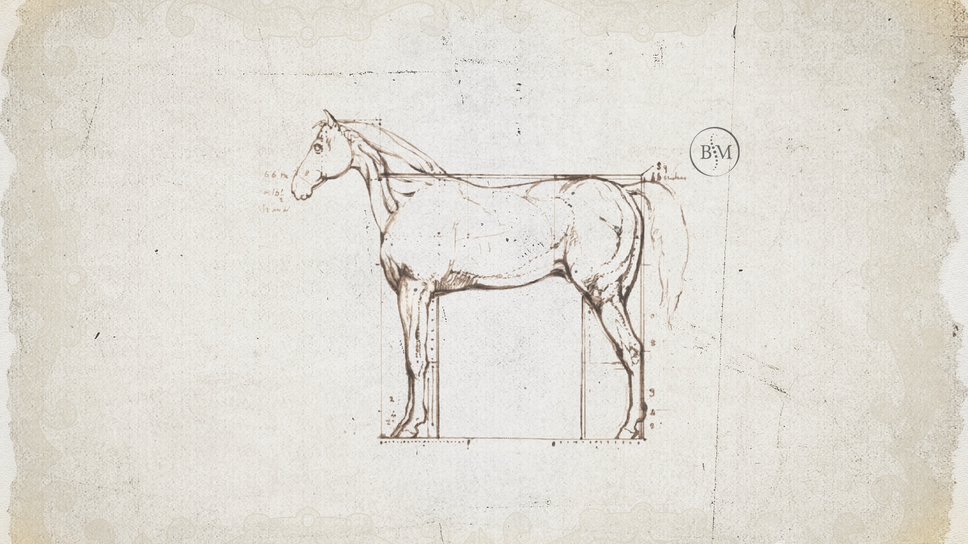 Pferdekörperausbildung