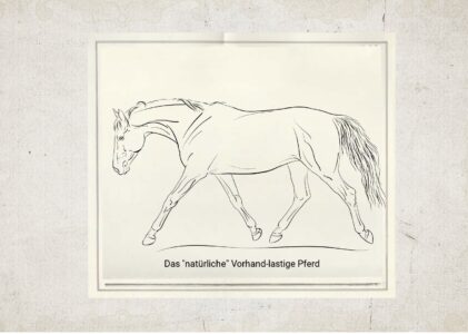 Die Illusion vom natürlichen Pferd