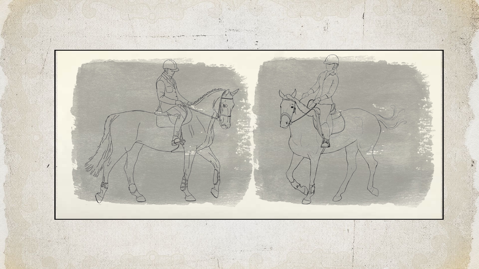 Pferdekörperausbildung