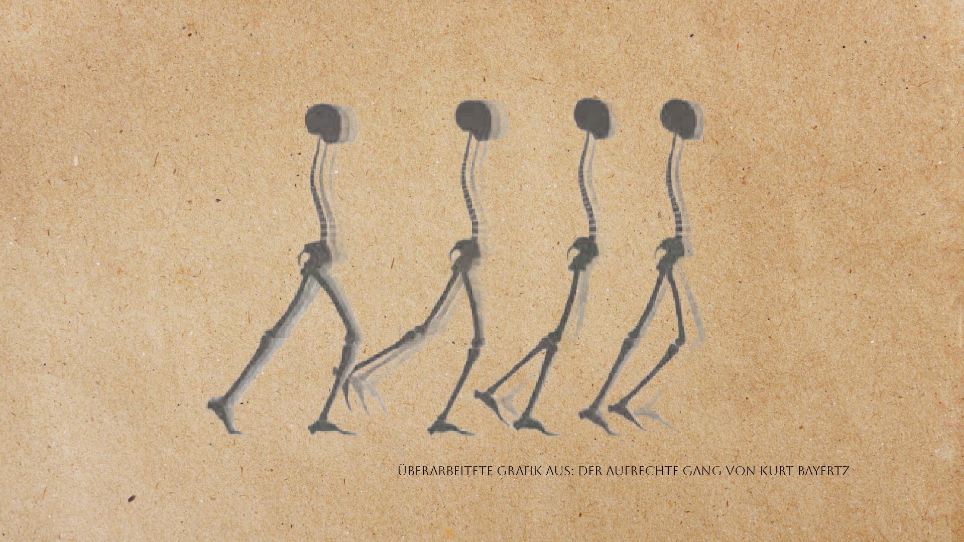 Pferdekörperausbildung