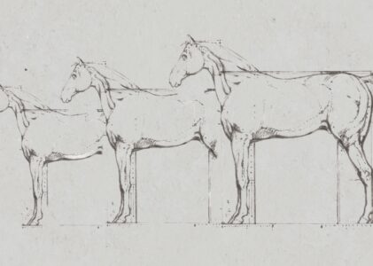 Die motorische Entwicklung durch die Eigenbewegungen