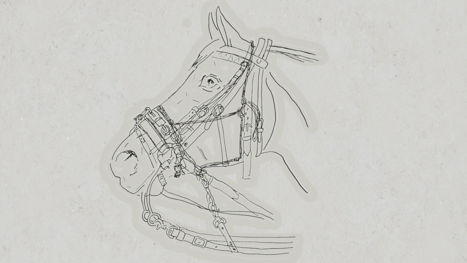 Pferdekörperausbildung