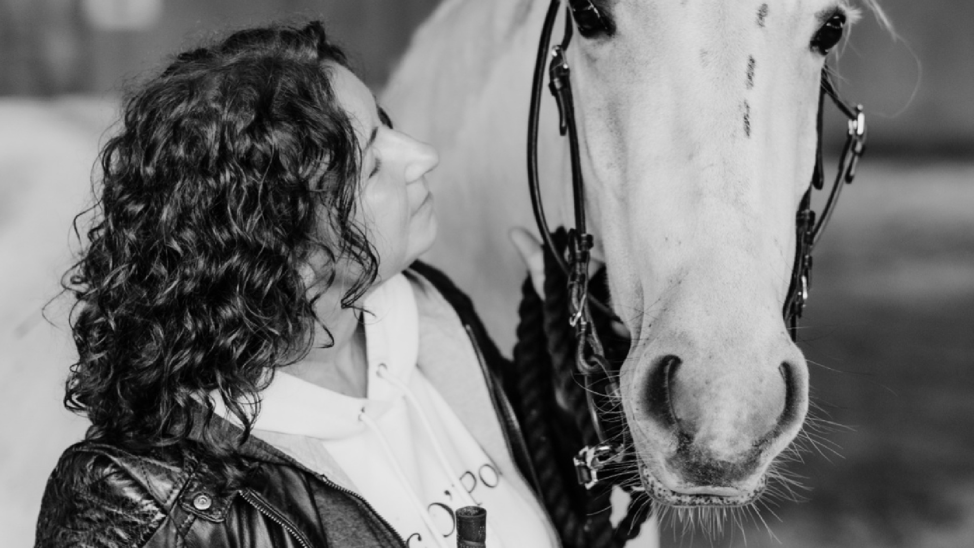 Pferdekörperausbildung