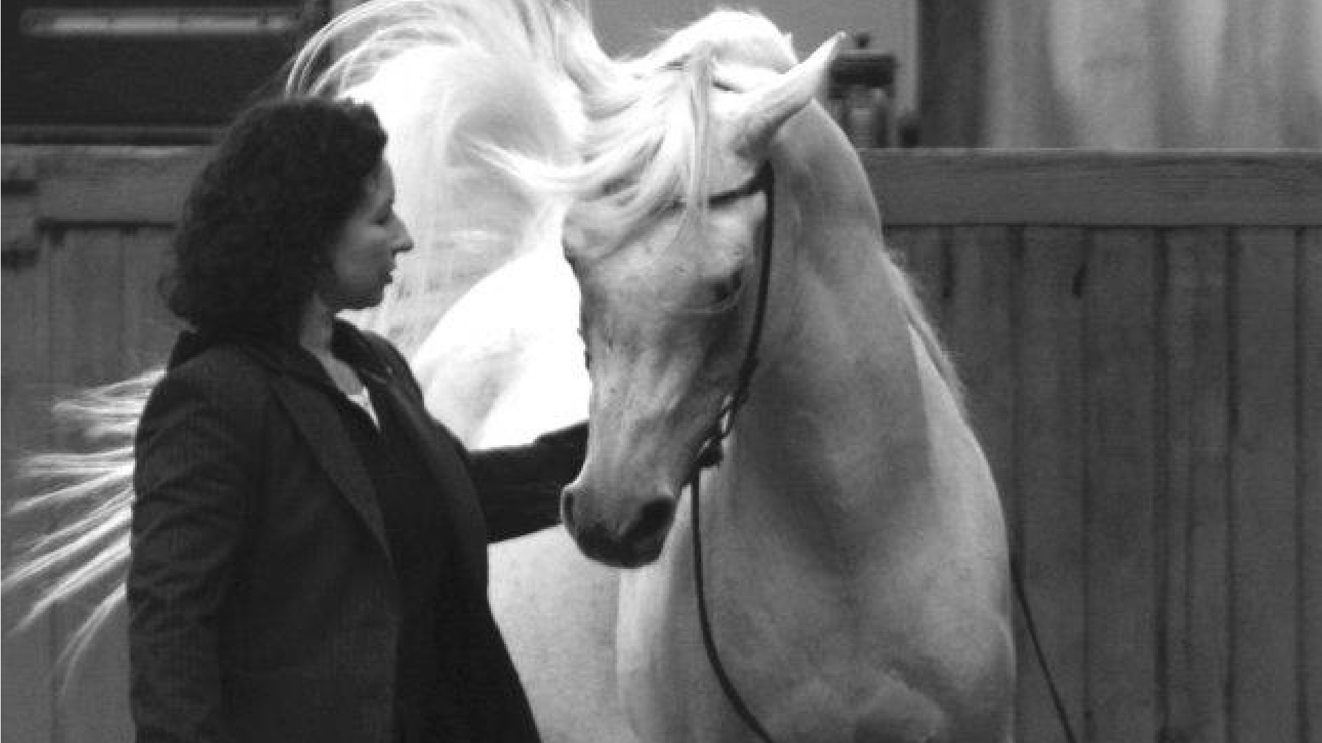 Pferdekörperausbildung