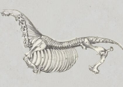 Längsbewegung statt Wirbelquetschung