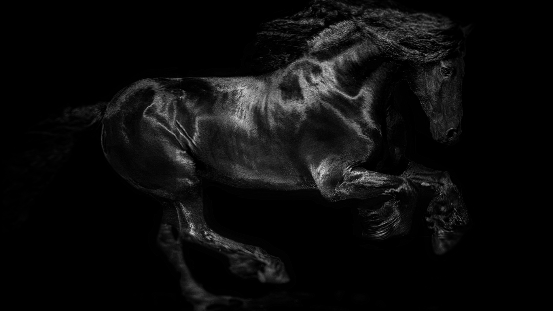 Pferdekörperausbildung