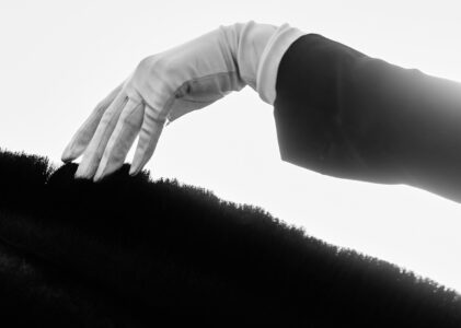 Handkommunikation – die Verbindung zwischen Hand und Maul